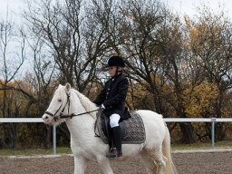 IMG_0353-123_web